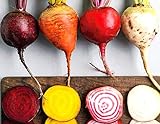 Rainbow Mix Heirloom Beet Seeds Gold, White, Red and Chioggia! bin316 (180+ Seeds, or 1/8 oz) photo / $4.39