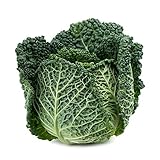 Savoy Perfection Cabbage Seeds - 50 Count Seed Pack - Non-GMO - A Unique Hardy Crop with a Sweet and Delicate Flavor That Makes an Excellent Addition to Many Dishes. - Country Creek LLC photo / $2.29 ($0.05 / Count)