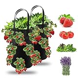 Ulikey 2Pcs Bolsas de Cultivo de Fresa, 3 Gallones Bolsa para Plantas Fresas Bolsa de Macetas Colgantes con Asas No Tejidos Transpirables con 13 Agujeros para Papas, Tomates y Fresas (2pcs - Negro) foto / 12,99 €