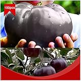 Portal Cool 100pcs / bolsa de carne de vaca gigante Negro híbridos de tomate Semillas orgánicos de la herencia del jardín del tomate foto / 4,99 €