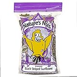 Nature's Nuts Premium Black Striped Sunflower Seed - 16 lb. photo / $42.56