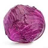 Red Acre Cabbage Seeds, 250 Heirloom Seeds Per Packet, Non GMO Seeds, Botanical Name: Brassica oleracea VAR. capitata f. rubra, Isla's Garden Seeds photo / $5.25 ($0.02 / Count)