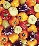 Burpee Carnival Mix Sweet Pepper Seeds 100 seeds photo / $8.01