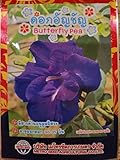 Butterfly Pea Flower Seeds photo / $6.99 ($99.15 / Ounce)