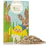 Ostergras Samen zum Dekorieren und Begrünen: 10g Schönes Ostergras für die Anzucht auf Fensterbank, Balkon, in Topf und Schale – Katzengras Samen – Ostergras Saatgut – Premium Pflanzensamen OwnGrown foto / 2,95 € (295,00 € / kg)