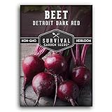 Survival Garden Seeds - Detroit Dark Red Beet Seed for Planting - Packet with Instructions to Plant and Grow Delicious Root Vegetables in Your Home Vegetable Garden - Non-GMO Heirloom Variety photo / $4.99