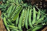 Green Arrow Pea Seeds - 50 Count Seed Pack - Non-GMO - A shelling Pea Variety That is Very Easy to Grow and thrives in Cold Weather. Excellent for Canning or Freezing. - Country Creek LLC photo / $2.99