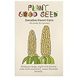 Zanadoo Sweet Corn Seeds - Pack of 30, Certified Organic, Non-GMO, Open Pollinated, Untreated Vegetable Seeds for Planting – from USA photo / $7.49