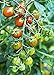 photo Moby Grape Tomato Seed