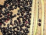 Black Crowder Pea Seeds - Heavy yields of Dark Purple cowpeas!! (200 - Seeds) photo / $14.99