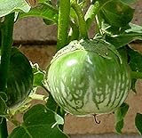 Thai Eggplant, F1 Hybrid Kermit Thai Eggplant Seeds (25 Seeds) photo / $8.00