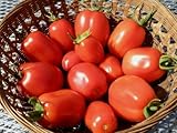 75+ Roma VFN- Heirloom Tomato Seeds photo / $3.89