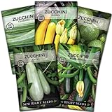 Sow Right Seeds - Zucchini Squash Seed Collection for Planting - Black Beauty, Cocozelle, Grey, Round, and Golden - Non-GMO Heirloom Packet to Plant a Home Vegetable Garden - Productive Summer Squash photo / $10.99