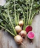 Burpee Watermelon Radish Seeds 300 seeds photo / $7.28 ($0.02 / Count)