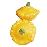 Burpee Sunburst Summer Squash Seeds 25 seeds photo / $7.73