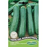 Germisem Verte Des Maraîchers Semillas de Calabacín 3 g (EC4018) foto / 2,21 €