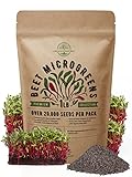 Beet Sprouting & Microgreens Seeds - Non-GMO, Heirloom Sprout Seeds Kit in Bulk 1lb Resealable Bag for Planting & Growing Microgreens in Soil, Coconut Coir, Garden, Aerogarden & Hydroponic System. photo / $23.99