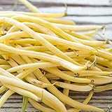 Golden Wax Bush Bean Plant Seeds, 50 Heirloom Seeds Per Packet, Non GMO Seeds, (Isla's Garden Seeds), Botanical Name: Phaseolus vulgaris, 85% Germination Rates photo / $5.99 ($0.12 / 50)