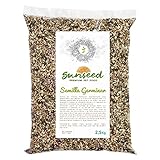 Semilla Germinar Sunseed 2,5 Kg foto / 12,33 €