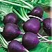 photo Seeds Radish Purple Rare 20 Days Vegetable for Planting Non GMO