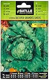 Lechuga GRANDES LAGOS foto / 1,60 €