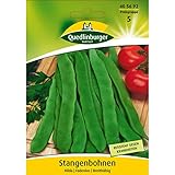 Stangenbohne, Hilda foto / 3,88 € (77,60 € / kg)