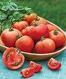 Burpee Early Girl Tomato Seeds 50 seeds photo / $7.37 ($0.15 / Count)