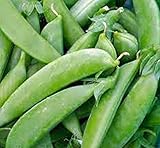 Pea Seed, Sugar Snap Pea, Heirloom, Non GMO, 20 Seeds, Perfect Peas, Country Creek Acres photo / $1.99