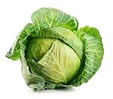 Brunswick Cabbage Seeds, 300 Heirloom Seeds Per Packet, Non GMO Seeds, Botanical Name: Brassica oleracea, Isla's Garden Seeds photo / $5.69 ($0.02 / Count)