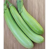 Lousiana Long Green Eggplant Seeds (30+ Seed Package) photo / $4.19