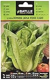 Lechuga Romana LARGA VERDE foto / 1,60 €