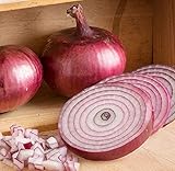 David's Garden Seeds Onion Intermediate-Day Monastrell 3943 (Red) 100 Non-GMO, Hybrid Seeds photo / $4.45