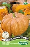 Germisem Muscade de Provence Semillas de Calabaza 3 g foto / 2,21 €