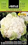 Coliflor grande NAVIDAD (dic-en) foto / 1,60 €