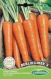 Germisem Berlikumer 2 Semillas de Zanahoria 10 g (EC9018) foto / 2,21 €