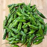 Shishito Pepper 70 Seeds, Japanese Heirloom Peppers , Shishitōgarashi , Non-GMO Japanese Wrinkled Pepper, 꽈리고추 photo / $7.75 ($0.11 / Count)