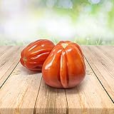 Tomato ''Bullenherz'' 25 x Samen aus Portugal 100% Natursamen ohne chemische Anzuchthilfen oder Gentechnik foto / 2,99 €