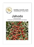 Tomatensamen Jahodo, Cherrytomate Portion foto / 1,95 €