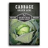 Survival Garden Seeds - Golden Acres Green Cabbage Seed for Planting - Packet with Instructions to Plant and Grow Yellow-White Cabbages in Your Home Vegetable Garden - Non-GMO Heirloom Variety photo / $4.99