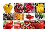 Harley Seeds This is A Mix!!! 30+ Sweet Pepper Mix Seeds, 12 Varieties Heirloom Non-GMO, Pimento, Purple Beauty, from USA, green photo / $5.49 ($2.74 / Gram)