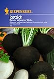 Sperli Gemüsesamen Rettich runder schwarzer Winter, grün foto / 2,31 €