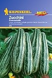 Sperli Gemüsesamen Zucchini Coucourzelle, grün foto / 2,58 €