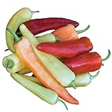 Burpee Sweet Banana Sweet Pepper Seeds 150 seeds photo / $6.74 ($0.04 / Count)