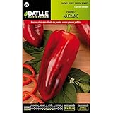 Semillas de Pimiento Najerano foto / 1,62 €