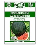 Sugar Baby Watermelon Seeds - 50 Seeds Non-GMO photo / $1.79