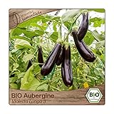 Samenliebe BIO Auberginen Samen alte Sorte Violetta Lunga 3 Eierfrucht lange Melanzani violett schwarz 10 Samen samenfestes Gemüse Saatgut für Gewächshaus Freiland und Balkon BIO Gemüsesamen foto / 3,49 €