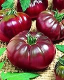 CEMEHA SEEDS - Black Prince Tomato Determinate Non GMO Vegetable for Planting photo / $6.95 ($0.14 / Count)