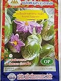 Golden Mountain Thai Round Eggplant Seeds photo / $6.99