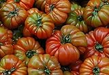 Portal Cool 100 Semillas: Las semillas de tomate Raf, Variedad Tamano Grande, Viejo tomate de la herencia española, Andalucía foto / 4,99 €