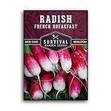 Survival Garden Seeds - French Breakfast Radish Seed for Planting - Pack with Instructions to Plant and Grow Long Radishes to Eat in Your Home Vegetable Garden - Non-GMO Heirloom Variety photo / $4.99